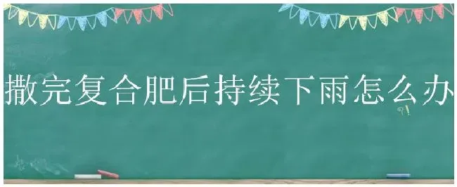 撒完复合肥后持续下雨怎么办 | 农业答疑