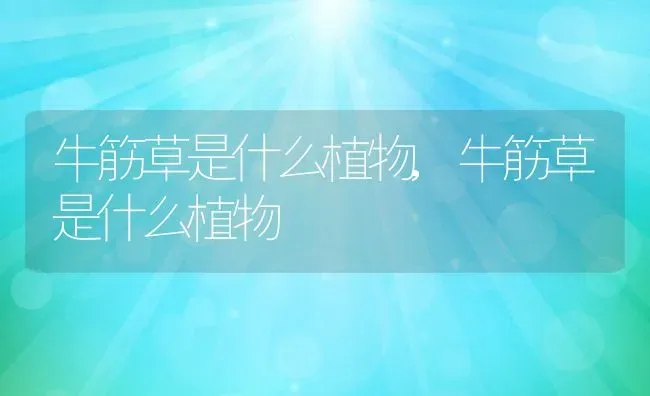 建兰怎样养才能开花,建兰怎样养才能开花 | 养殖常见问题