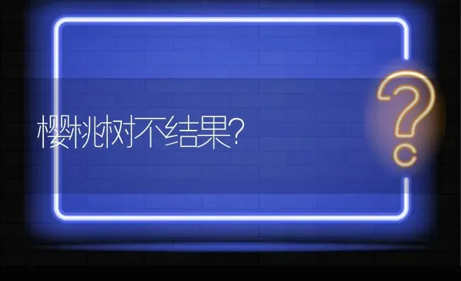 樱桃树不结果? | 养殖问题解答