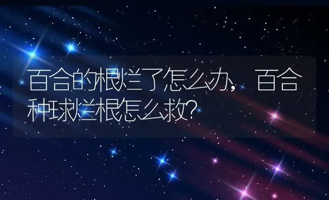 百合的根烂了怎么办,百合种球烂根怎么救？ | 养殖常见问题