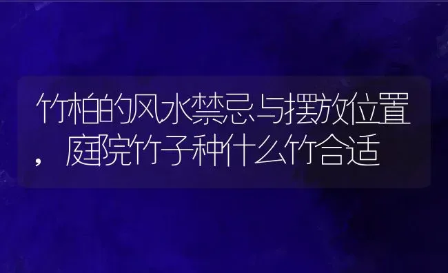 竹柏的风水禁忌与摆放位置,庭院竹子种什么竹合适 | 养殖常见问题