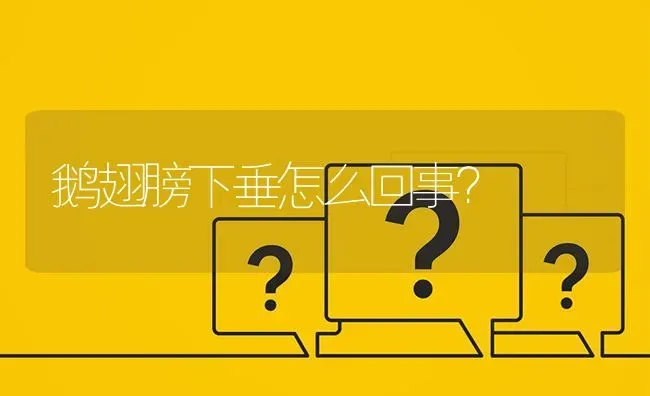 鹅翅膀下垂怎么回事? | 养殖问题解答