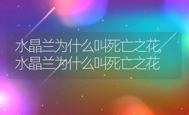 水晶兰为什么叫死亡之花,水晶兰为什么叫死亡之花 | 养殖常见问题