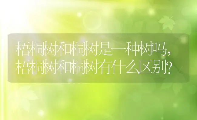 梧桐树和桐树是一种树吗,梧桐树和桐树有什么区别？ | 养殖常见问题