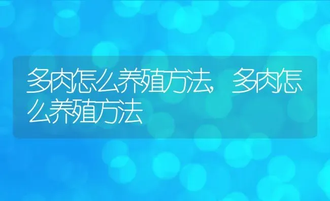 多肉怎么养殖方法,多肉怎么养殖方法 | 养殖常见问题