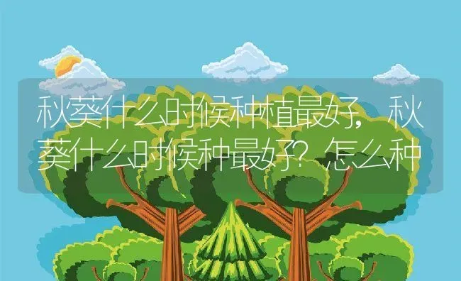 秋葵什么时候种植最好,秋葵什么时候种最好？怎么种 | 养殖常见问题