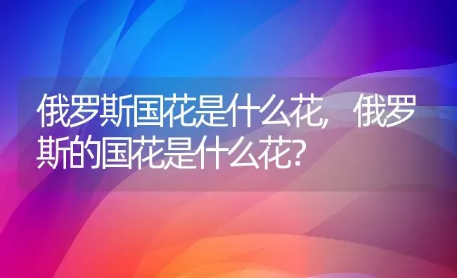 俄罗斯国花是什么花,俄罗斯的国花是什么花？ | 养殖常见问题