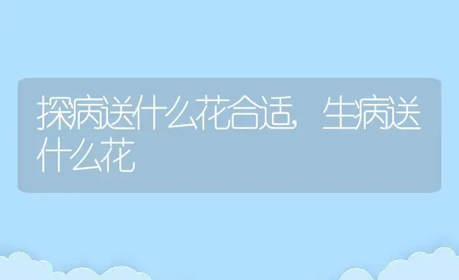 探病送什么花合适,生病送什么花 | 养殖常见问题