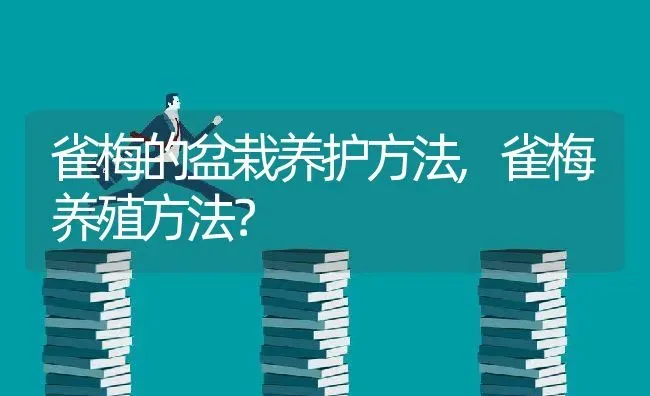 雀梅的盆栽养护方法,雀梅养殖方法？ | 养殖常见问题