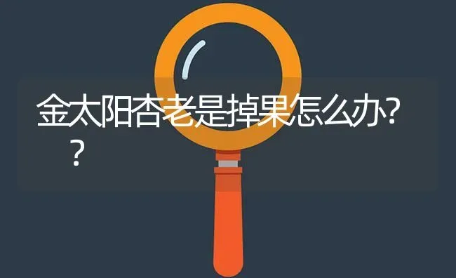 金太阳杏老是掉果怎么办? ? | 养殖问题解答