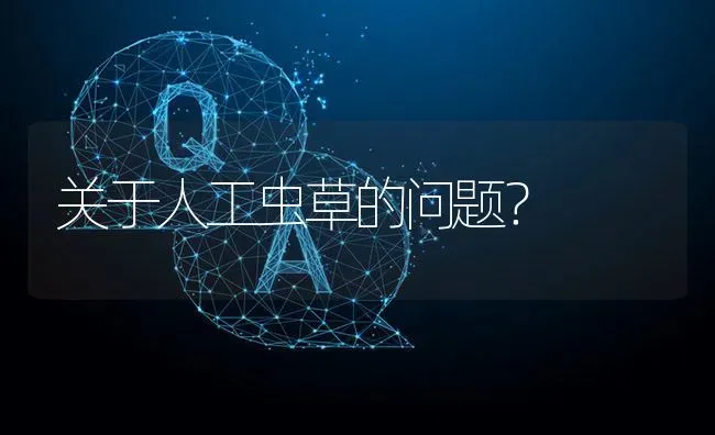 关于人工虫草的问题? | 养殖问题解答