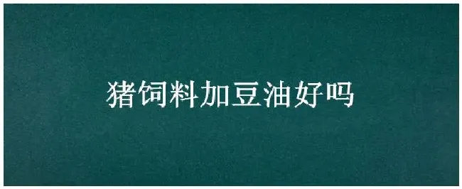 猪饲料加豆油好吗 | 农业答疑