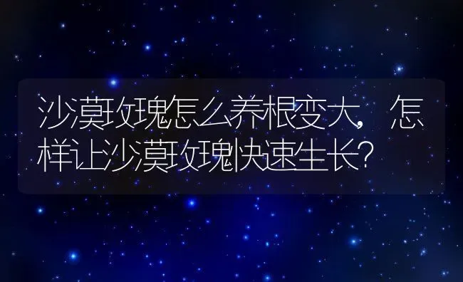 沙漠玫瑰怎么养根变大,怎样让沙漠玫瑰快速生长？ | 养殖常见问题