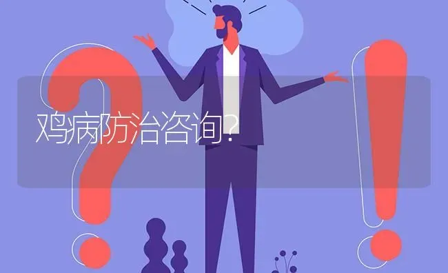 鸡病防治咨询? | 养殖问题解答