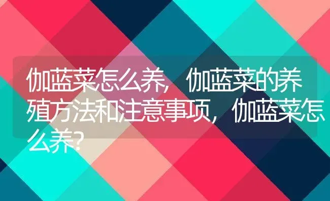 伽蓝菜怎么养,伽蓝菜的养殖方法和注意事项，伽蓝菜怎么养？ | 养殖常见问题