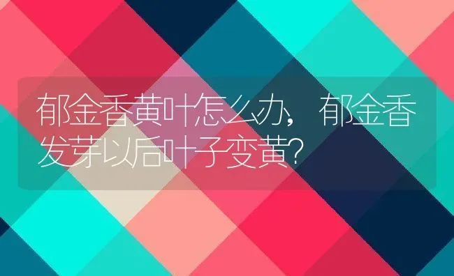 郁金香黄叶怎么办,郁金香发芽以后叶子变黄？ | 养殖常见问题