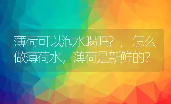 薄荷可以泡水喝吗?,怎么做薄荷水，薄荷是新鲜的？ | 养殖常见问题