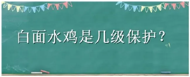 白面水鸡是几级保护 | 农业常识