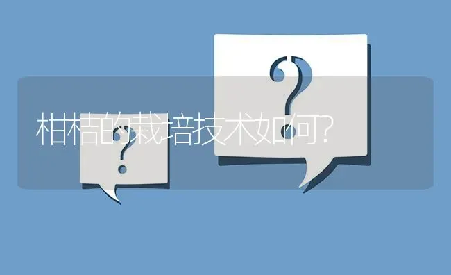柑桔的栽培技术如何? | 养殖问题解答