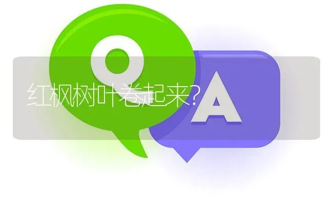 红枫树叶卷起来? | 养殖问题解答