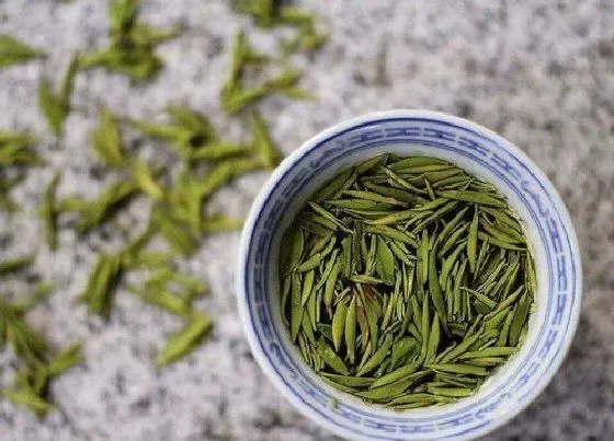 植物常识问题|毛峰茶属于什么茶类 喝毛峰绿茶的功效与作用