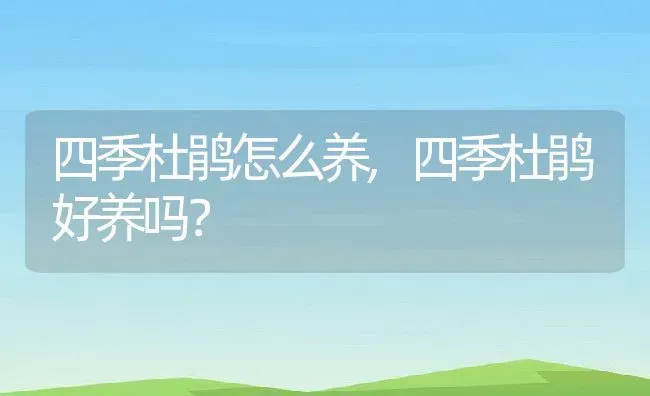 四季杜鹃怎么养,四季杜鹃好养吗？ | 养殖常见问题