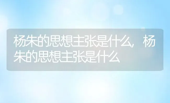 杨朱的思想主张是什么,杨朱的思想主张是什么 | 养殖常见问题