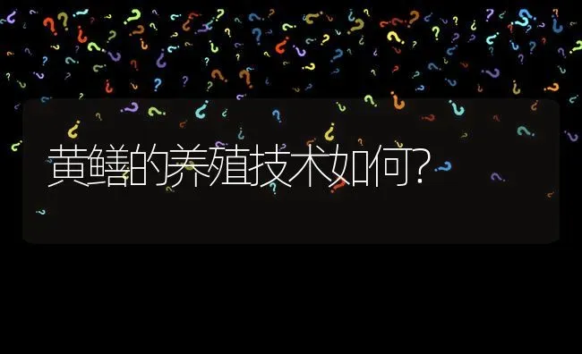 黄鳝的养殖技术如何? | 养殖问题解答