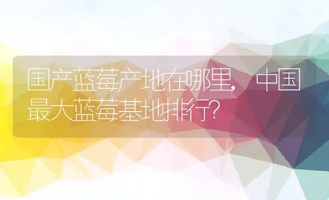 山竹一天最多吃几个,一天一个山竹好吗？ | 养殖常见问题