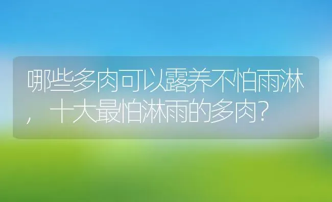 哪些多肉可以露养不怕雨淋,十大最怕淋雨的多肉？ | 养殖常见问题