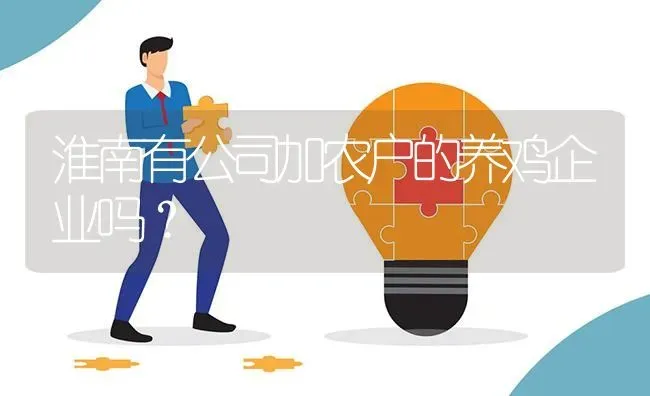 淮南有公司加农户的养鸡企业吗? | 养殖问题解答