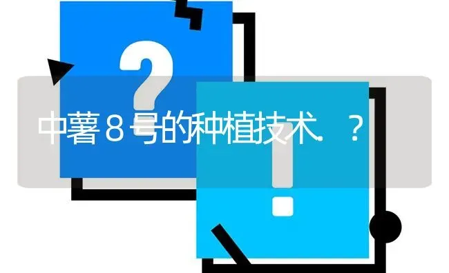 中薯８号的种植技术.? | 养殖问题解答