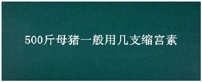 500斤母猪一般用几支缩宫素 | 农业答疑