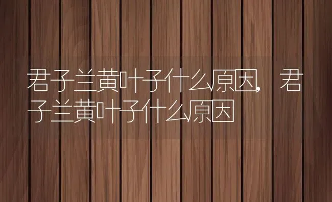 曼珠沙华的花语和寓意,曼珠沙华的花语是什么？ | 养殖常见问题