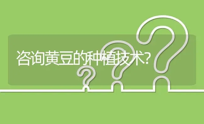 咨询黄豆的种植技术? | 养殖问题解答