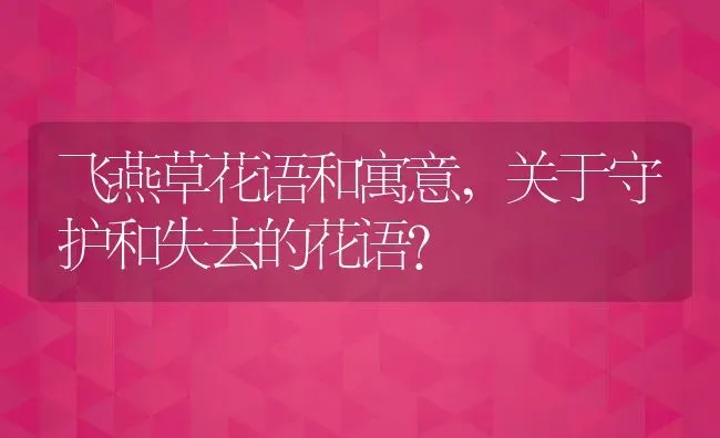 飞燕草花语和寓意,关于守护和失去的花语？ | 养殖常见问题