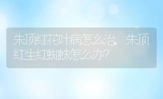 朱顶红花叶病怎么治,朱顶红生红蜘蛛怎么办？ | 养殖常见问题