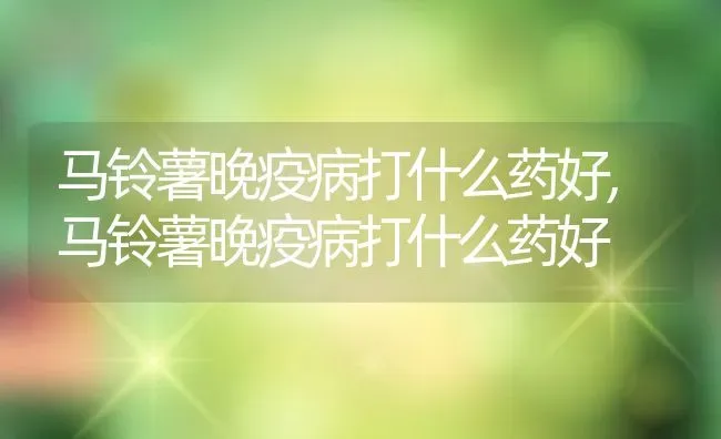 马铃薯晚疫病打什么药好,马铃薯晚疫病打什么药好 | 养殖常见问题