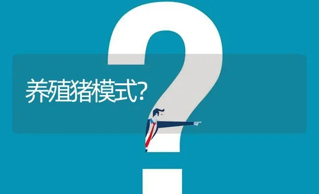 养殖猪模式? | 养殖问题解答