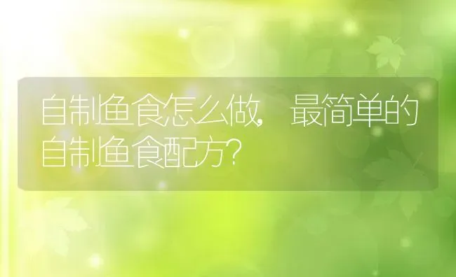 自制鱼食怎么做,最简单的自制鱼食配方？ | 养殖常见问题