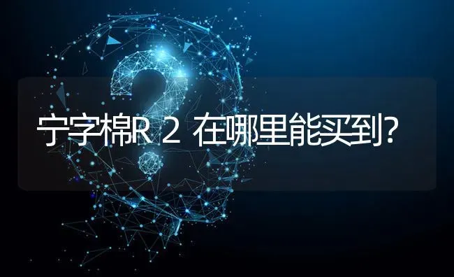 宁字棉R2在哪里能买到? | 养殖问题解答