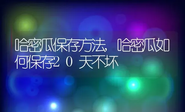 哈密瓜保存方法,哈密瓜如何保存20天不坏 | 养殖常见问题