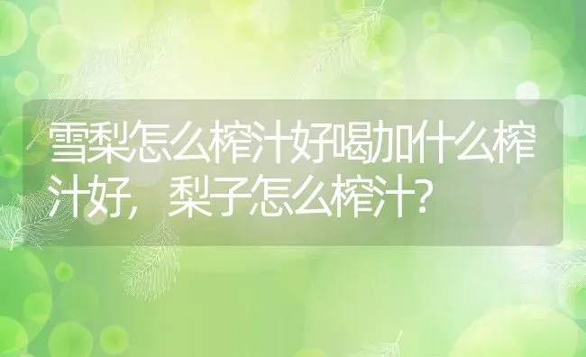 雪梨怎么榨汁好喝加什么榨汁好,梨子怎么榨汁？ | 养殖常见问题