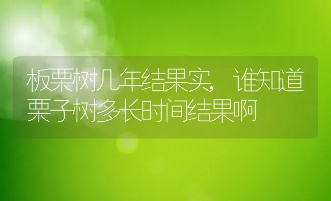 板栗树几年结果实,谁知道栗子树多长时间结果啊 | 养殖常见问题