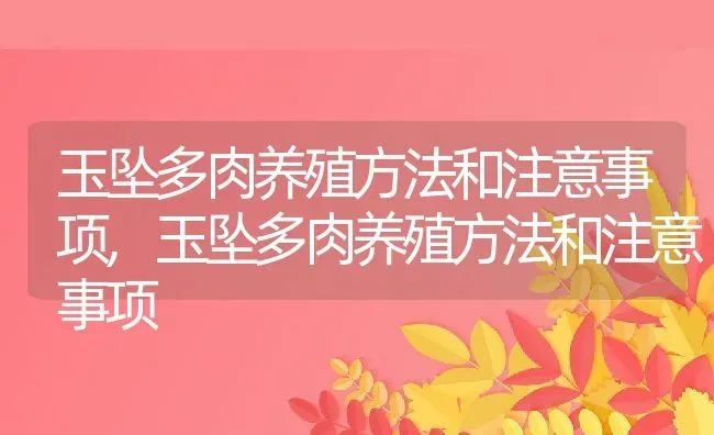 玉坠多肉养殖方法和注意事项,玉坠多肉养殖方法和注意事项 | 养殖常见问题