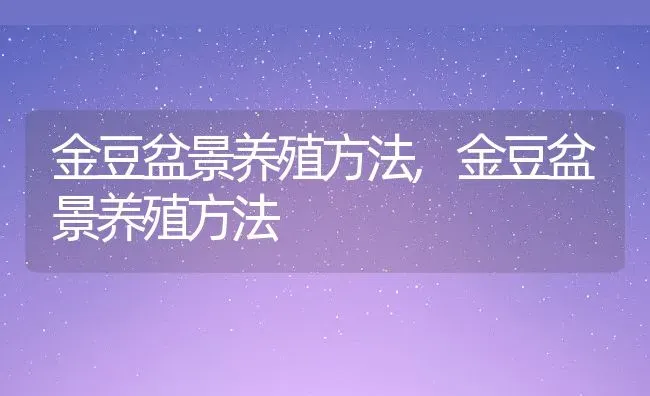 金豆盆景养殖方法,金豆盆景养殖方法 | 养殖常见问题