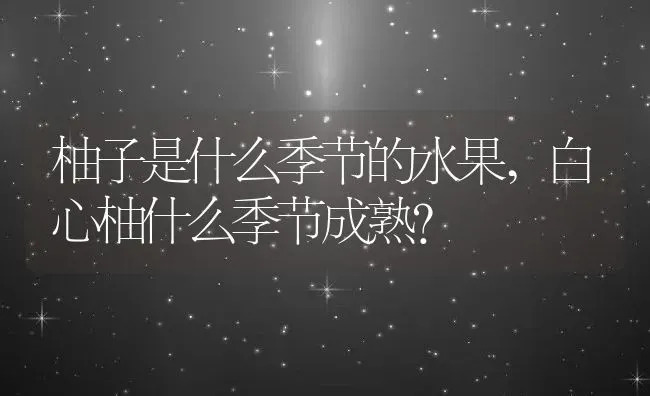 柚子是什么季节的水果,白心柚什么季节成熟？ | 养殖常见问题