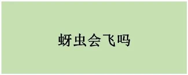 蚜虫会飞吗 | 科普知识