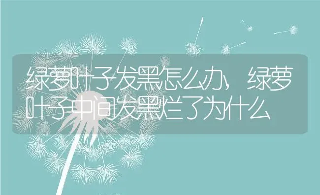 桃树追肥用什么肥料好,桃树追肥用什么肥料好 | 养殖常见问题