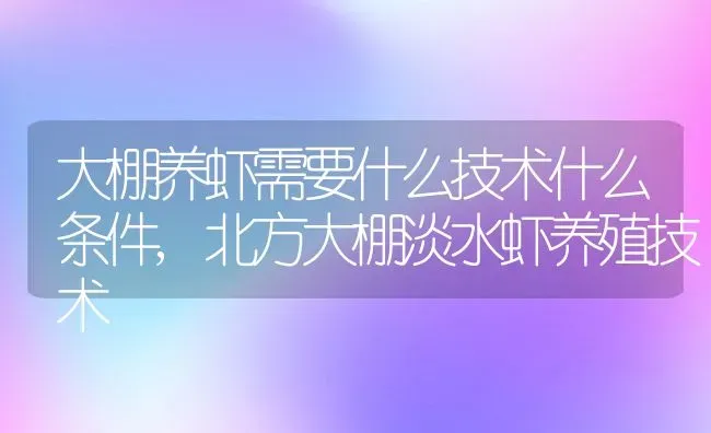 大棚养虾需要什么技术什么条件,北方大棚淡水虾养殖技术 | 养殖常见问题